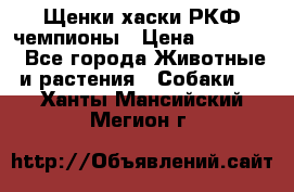Щенки хаски РКФ чемпионы › Цена ­ 90 000 - Все города Животные и растения » Собаки   . Ханты-Мансийский,Мегион г.